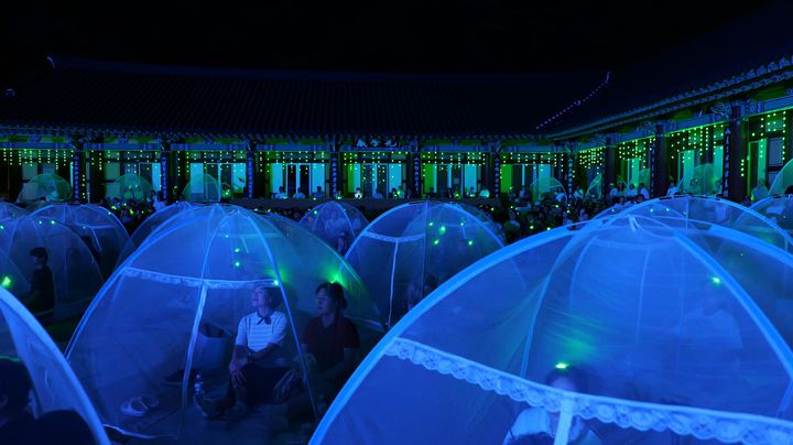 [서울=뉴시스] 고범준 기자 = 지난 2일 지리산 대화엄사 화엄원 특설무대에서 열린 제5회 지리산 대화엄사 모기장영화음악회에서 관객들이 공연을 보고 있다. (사진=지리산 대화엄사 제공) 2025.08.03. photo@newsis.com *재판매 및 DB 금지