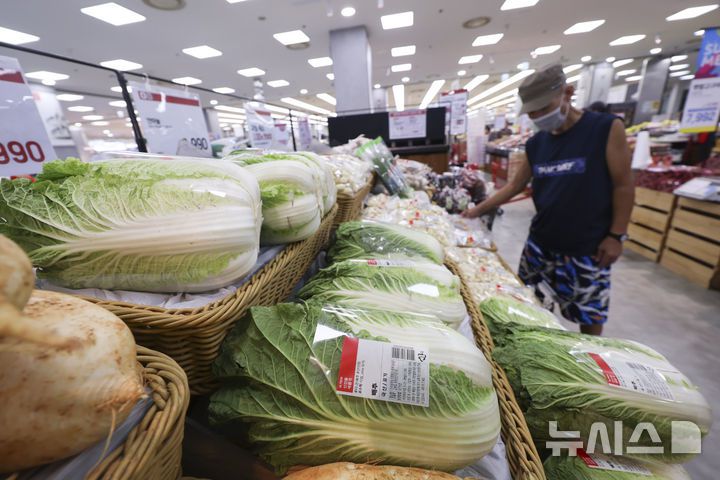 [서울=뉴시스] 김근수 기자 = 최근 폭염 여파로 일부 농산물 가격이 오른 가운데 3일 서울 시내의 한 대형마트 매대에 배추가 놓여 있다. 2025.08.03. ks@newsis.com