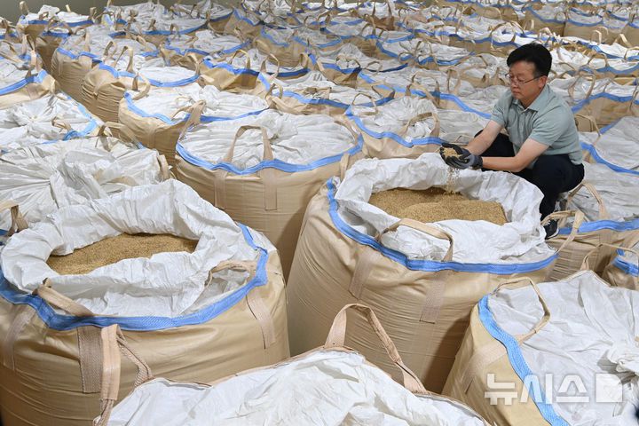 [화성=뉴시스] 김종택 기자 = 과잉 생산된 쌀을 정부가 의무적으로 매입하는 내용의 양곡관리법 개정안이 국회 본회에 통과된 4일 경기 화성시 남양읍 수라청농협쌀조공법인 저온창고에서 관계자가 보관중인 쌀을 살펴보고 있다. 2025.08.04. jtk@newsis.com