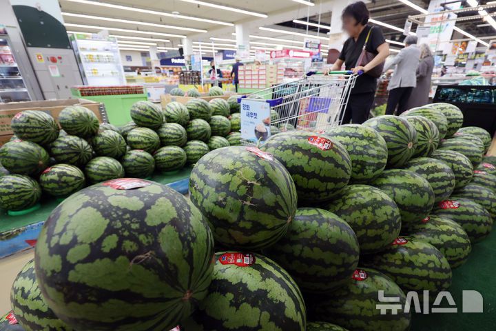 [서울=뉴시스] 조성우 기자 = 5일 서울의 한 대형마트에서 시민이 수박을 살펴보고 있다. 2025.08.05. xconfind@newsis.com