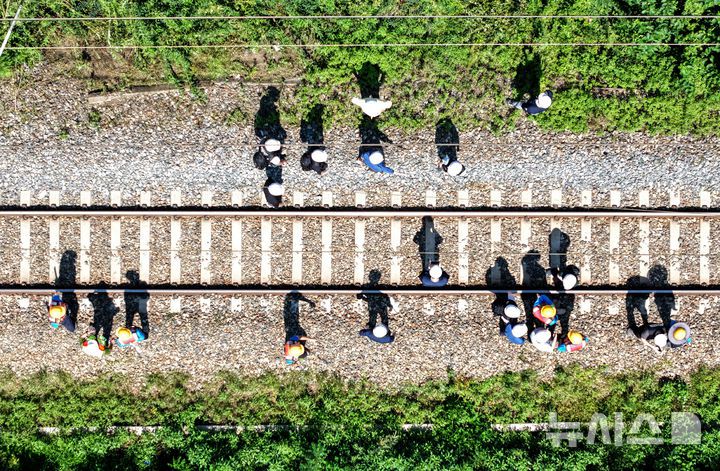 [청도=뉴시스] 이무열 기자 = 무궁화호 열차가 선로 인근에서 작업 중이던 근로자 7명을 치는 사고가 발생한 19일 경북 청도군 화양읍 삼신리 경부선 철로에서 경찰과 소방, 코레일 등 관계들이 사고가 난 현장을 조사하고 있다. 2025.08.19. lmy@newsis.com