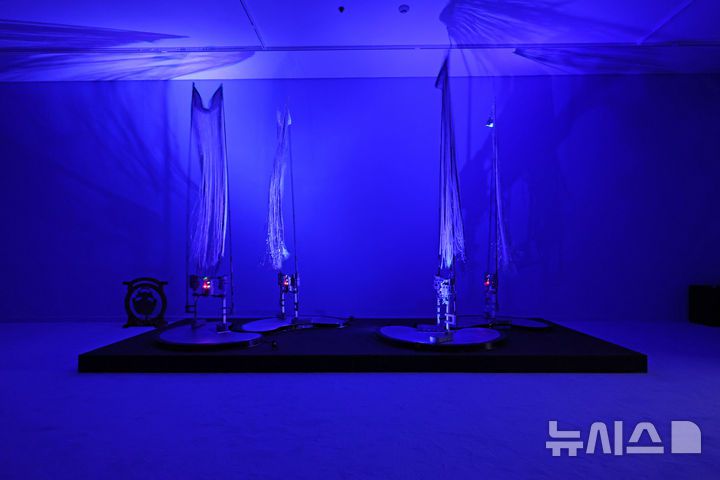 [서울=뉴시스] 박진희 기자 = 서울시립미술관(SeMA)은 25일 서울 중구 서울시립미술관 서소문관에서 제13회 서울미디어시티비엔날레 '강령: 영혼의 기술' 기자간담회를 갖고 작가 권병준의 작품 '중심에서 피어나는; 잠재태의 황금꽃'을 선보이고 있다. 2025.08.25. pak7130@newsis.com