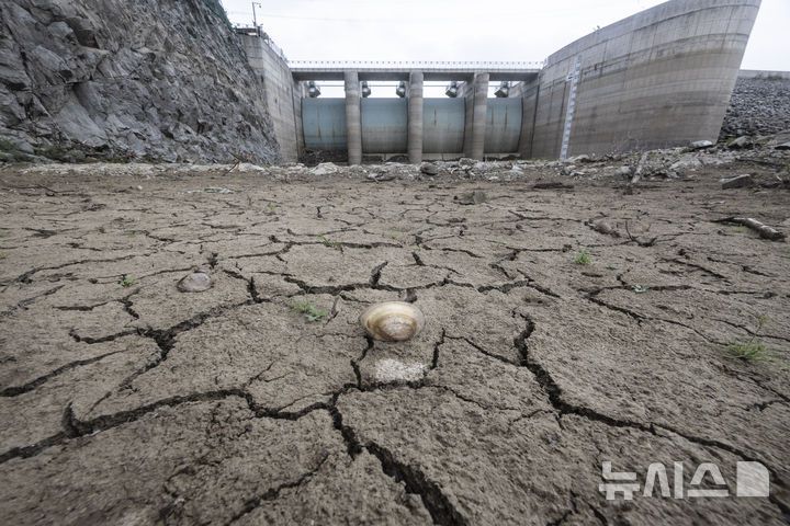 [강릉=뉴시스] 김근수 기자 = 강릉지역에 극심한 가뭄 계속되는 4일  강원 강릉 오봉저수지의 바닥이 갈라져 있다. 2025.09.04. ks@newsis.com