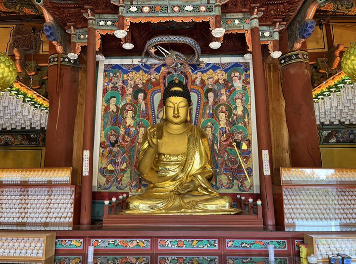 [서울=뉴시스] 세종 비암사 소조아미타여래좌상 (사진=국가유산청 제공) 2025.09.12. photo@newsis.com *재판매 및 DB 금지