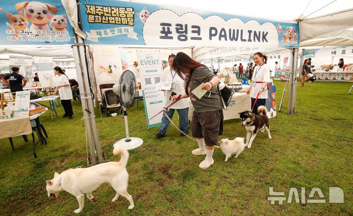[제주=뉴시스] 우장호 기자 = 성숙한 반려동물 문화 확산과 제주 반려동물 연관산업 활성화를 위한 '2025 제주 반려동물 문화산업 한마당'이 12일 오전 제주시민복지타운 일원에서 열리고 있다. 2025.09.12. woo1223@newsis.com