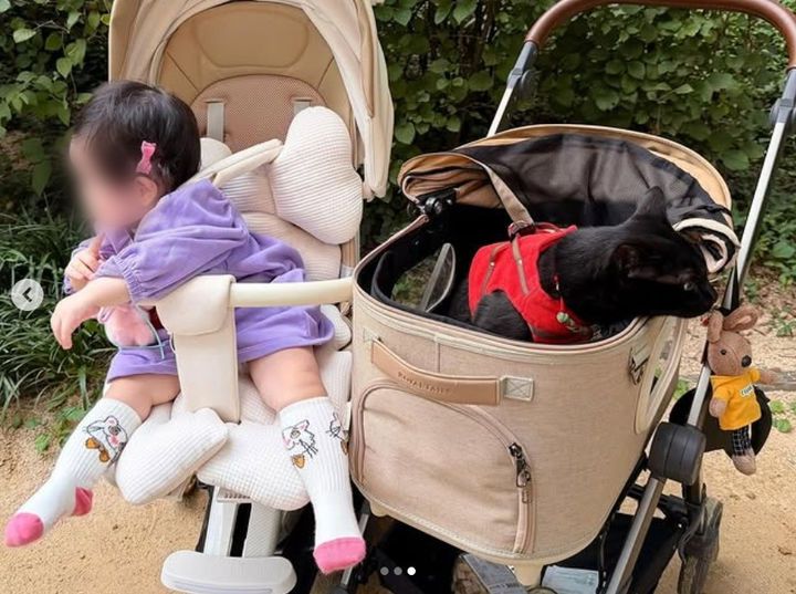 [서울=뉴시스] 개그맨 박수홍이 딸 재이 양, 반려묘 다홍이와의 일상을 공개했다. (사진=박수홍 인스타그램 캡처) 2025.10.28. photo@newsis.com  *재판매 및 DB 금지