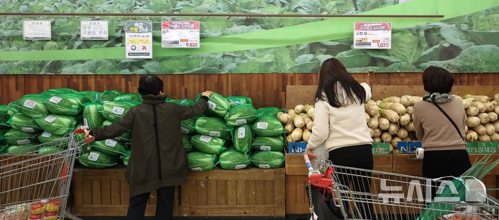 [서울=뉴시스] 김선웅 기자 = 올해 배추·무 등 주요 김장재료 가격이 지난해보다 10% 줄어든 것으로 나타났다. 한국물가협회가 김장철을 앞두고 전국 주요 김장재료 가격을 조사한 결과 4인가족 기준 김장비용은 전통시장 기준 지난해보다 9.6% 하락한 37만8860원으로 집계됐다. 대형마트 기준으로는 47만7750원으로 작년보다 8.4% 감소한 것으로 분석됐다. 2일 서울 시내의 한 유통매장에서 배추·무 등 김장재료가 판매되고 있다. 2025.11.02. mangusta@newsis.com