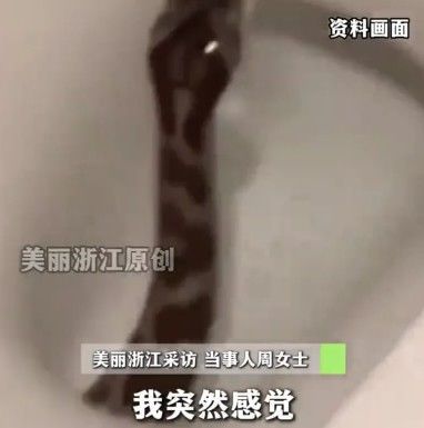 [뉴시스]중국 장쑤성의 한 자택 변기에서 발견된 뱀. (사진 = 웨이보 캡처) *재판매 및 DB 금지
