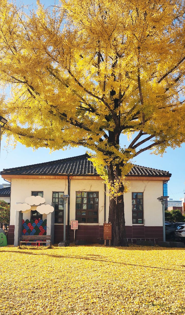 [광양=뉴시스] 황금빛으로 물든 광양역사문화관. photo@newsis.com *재판매 및 DB 금지