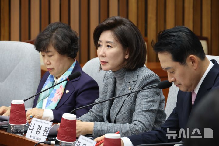 [서울=뉴시스] 조성봉 기자= 나경원 국민의힘 의원이 24일 오후 서울 여의도 국회에서 열린 '대장동 범죄수익환수 특별법 제정'을 위한 긴급 토론회에서 개회사를 하고 있다.2025.11.24. suncho21@newsis.com