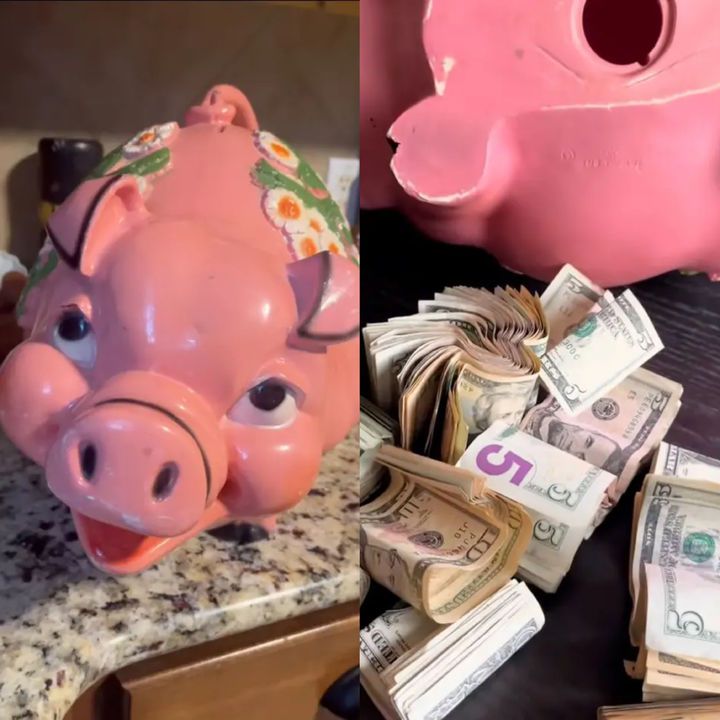 [서울=뉴시스]한 틱톡 사용자가 중고로 구매한 돼지 저금통에서 현금 뭉치를 발견했다는 영상을 게시했다. (사진출처: 틱톡 캡처) 2025.12.08.