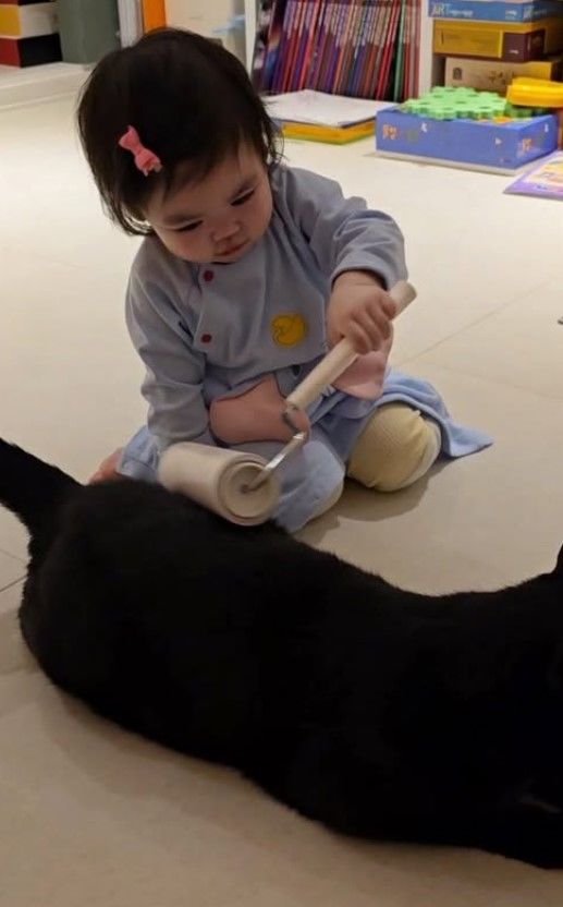 [서울=뉴시스] 박수홍 딸과 반려묘 다홍이. (사진=박수홍 인스타그램 캡처) 2025.12.08. photo@newsis.com *재판매 및 DB 금지