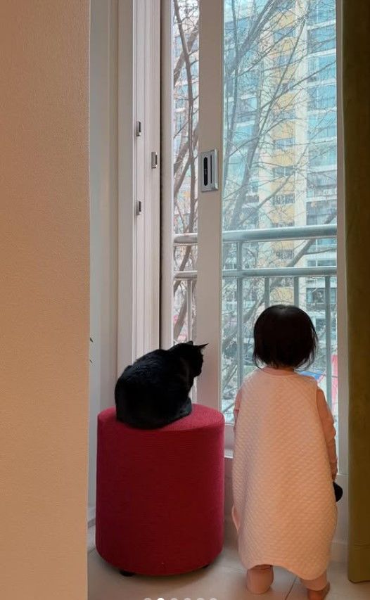 [서울=뉴시스] 박수홍 딸과 반려묘 다홍이. (사진=박수홍 인스타그램 캡처) 2025.12.08. photo@newsis.com *재판매 및 DB 금지