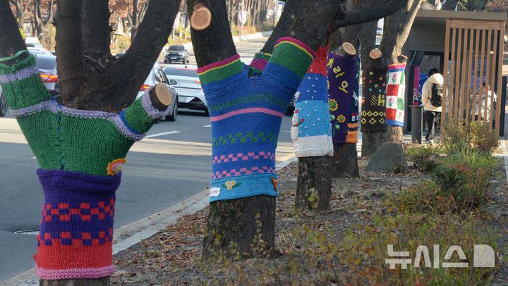 [전주=뉴시스] 김얼 기자 = 선선한 겨울 날씨가 이어지고 있는 8일 전북 전주시 덕진구 백제대로 가로수에 트리허그(잠복소)가 설치되어 있다. 2025.12.08. pmkeul@newsis.com
