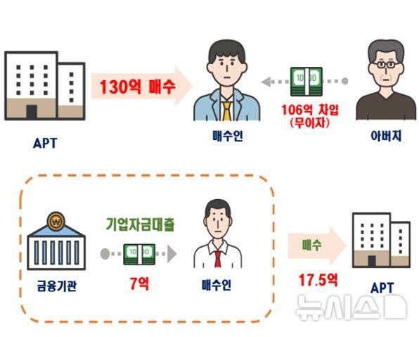 [서울=뉴시스] 서울·경기 주택 이상거래 기획조사 주요 위법 의심 사례. (자료= 국토교통부 제공)