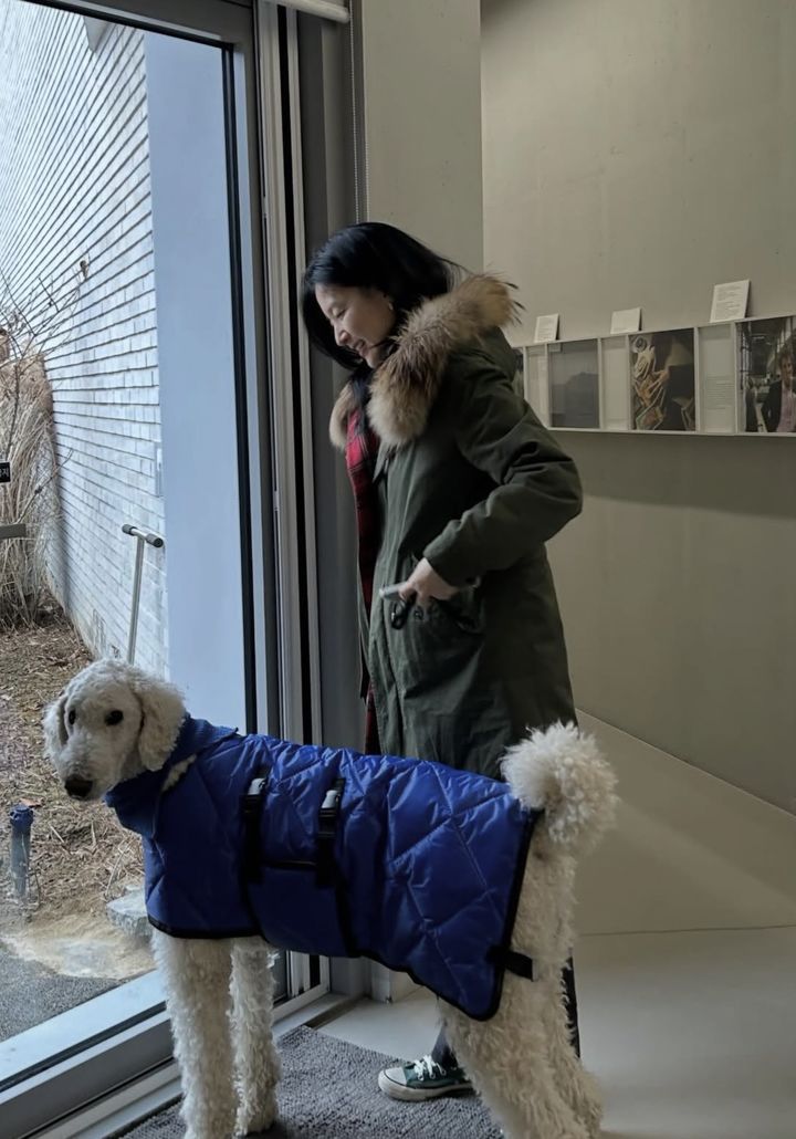 [서울=뉴시스] 배우 이영애. (사진=이영애 인스타그램 캡처) 2025.12.29. photo@newsis.com *재판매 및 DB 금지