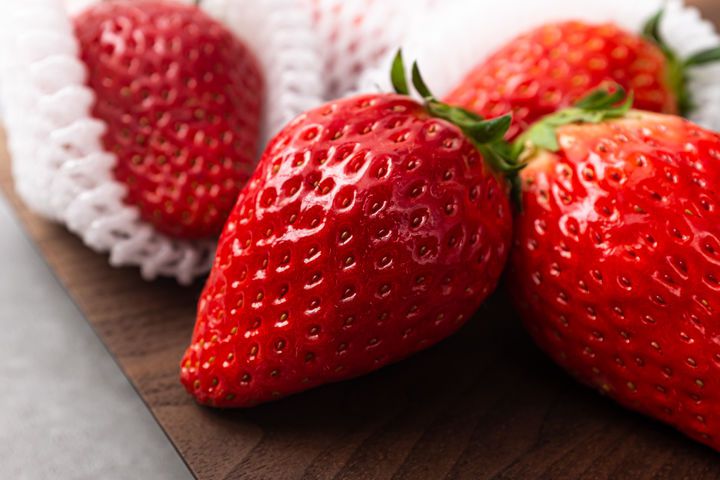 [뉴시스] 사진은 본 기사의 이해를 돕기 위한 이미지. *재판매 및 DB금지 *재판매 및 DB 금지