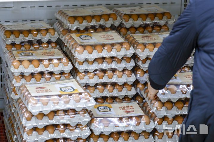 [서울=뉴시스] 정병혁 기자 = 4일 서울 서초구 하나로마트 양재점을 찾은 시민들이 계란을 살펴보고 있다. 2026.12.04. jhope@newsis.com