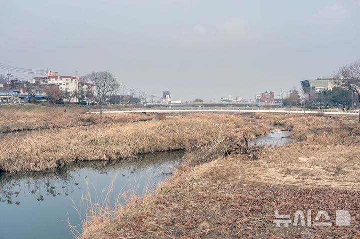 [오산=뉴시스] 오산천 퇴적층이 쌓여 만들어진 하중도 모습 (사진=오산시 제공) 2026.01.07.photo@newsis.com