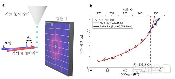 [포항=뉴시스] 송종욱 기자 = 포스텍 연구팀과 스웨덴 스톡홀름대 연구팀이 공동 연구로 영하 45도에서 얼지 않은 물에서 온도에 따른 끈적임의 경향이 달라진다는 사실을 최초로 관측했다. 사진 (a)는 진공에 작은 물방울을 떨어트린 후, 증발을 통해 빠르게 온도를 낮춤으로써 ?45°C에서 얼지 않은 상태의 물을 만들 수 있다. 강력한 X선 레이저를 이용해 이 움직임을 추적했다. (b)는 물 움직임 방식이 달라지는 전이점이 233.2K에 존재하는 것을 최초로 관측했다. (사진=포스텍 제공) 2026.01.07. photo@newsis.com