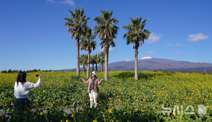 [서귀포=뉴시스] 우장호 기자 = 맑은 날씨를 보인 9일 오전 제주 서귀포시 남원읍 휴애리자연생활공원을 찾은 관광객들이 활짝 피어난 유채꽃을 감상하며 한겨울 속 봄 정취를 만끽하고 있다. 기상청에 따르면 주말인 10일부터 서서히 찬 대륙고기압의 영향을 받아 전국에 큰 추위가 찾아오고, 11일에는 남부와 제주를 중심으로 많은 눈이 내릴 것으로 예측됐다. 2026.01.09. woo1223@newsis.com
