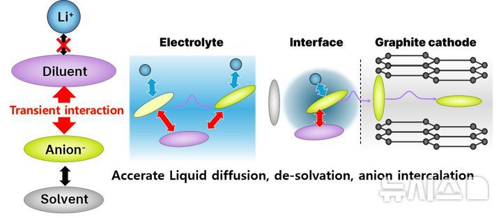 [포항=뉴시스] 송종욱 기자 = 포스텍 연구팀이 음이온과 희석제의 작용을 조절해 초고속 충·방전과 온도 구동이 가능한 듀얼 이온배터리(DIB) 전해액을 개발했다. 사진은 국부 고농도 전해질의 구성 요소와 서로 작용, 그에 따른 DIB 구동 때 단계별 영향성. (사진=포스텍 제공) 2026.01.12. photo@newsis.com