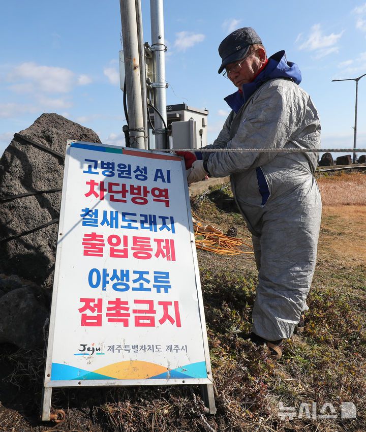 [제주=뉴시스] 우장호 기자 = 12일 오전 제주시 구좌읍 하도리 철새도래지 인근 도로에서 고병원성 조류인플루엔자(AI) 차단 방역을 하고 있다. 제주도에 따르면 지난 5일 서귀포시 성산읍 시흥리 해변 아생조류 분변에서 올겨울 첫 고병원성 AI가 검출돼 항원 검출 지역 지점 반경 10㎞ 지역을 '야생조류 예찰 지역'으로 설정해 가금류에 대한 이동이 제한된 상태다. 2026.01.12. woo1223@newsis.com