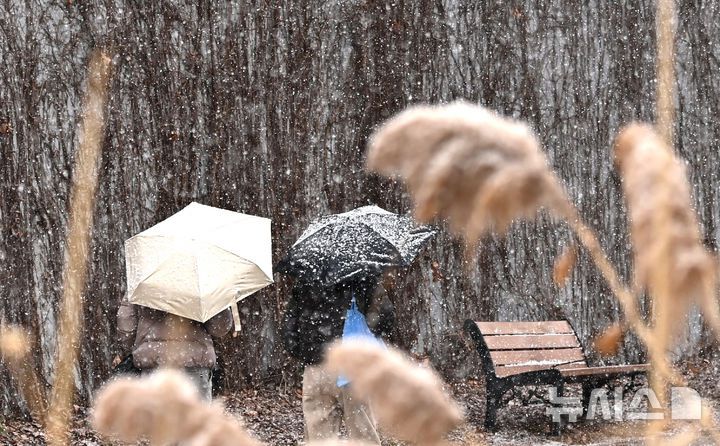 [수원=뉴시스] 김종택 기자 = 전국 곳곳에 한파 특보가 발효된 12일 경기 수원시 팔달구 북수동에서 시민들이 펑펑 내리는 눈을 맞으며 걷고 있다. 2026.01.12. jtk@newsis.com
