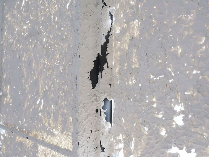 최선아, <진지바(Gingiva)>, 2026, 창문에 스컬피, 1400 x 420 x 19 cm, 사진: 이의록 *재판매 및 DB 금지