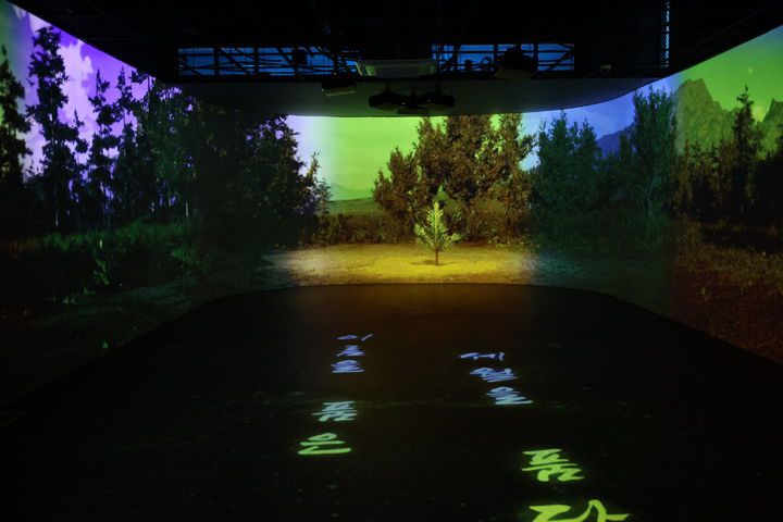 [보은=뉴시스] 충북 보은군 소나무미디어숲. (사진=보은군 제공) 2026.01.15. photo@newsis.com   *재판매 및 DB 금지