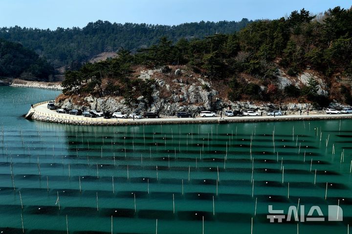 [장흥=뉴시스] 장흥 대덕읍 매생이 양식장.