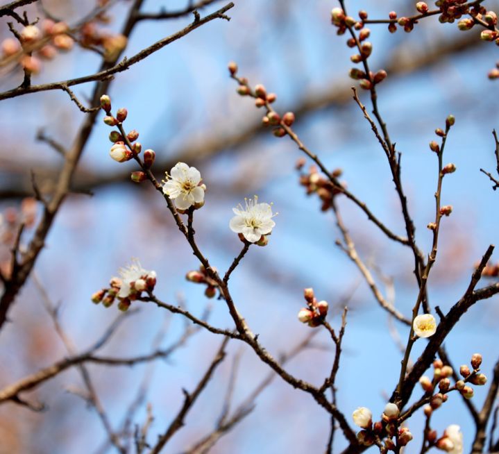 *재판매 및 DB 금지