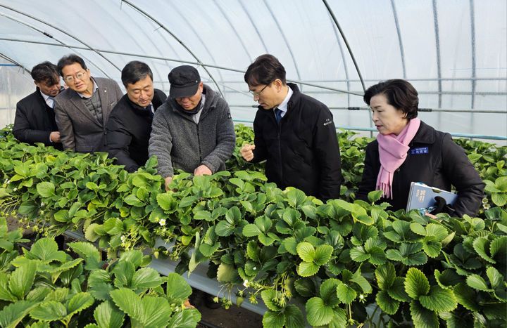 [곡성=뉴시스] 농협전남본부는 20일 곡성군 오곡면에 위치한 보급형 스마트팜 운영 시설을 방문해 현장 경영을 실시하고 사업 정착 상황과 농가 애로를 청취했다. (사진=전남농협 제공) photo@newsis.com *재판매 및 DB 금지