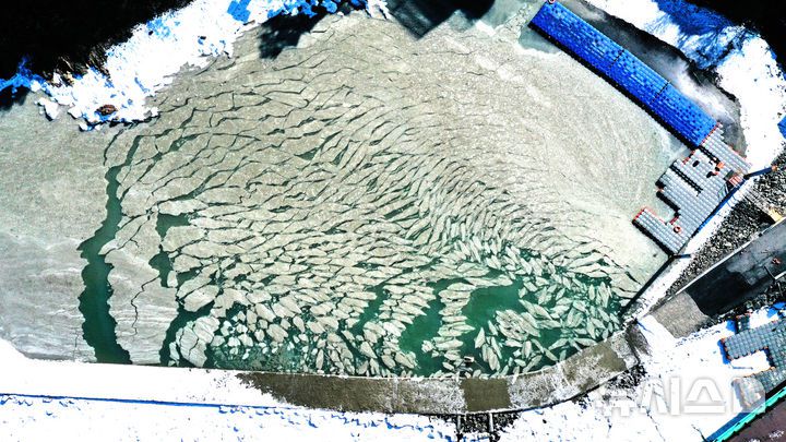 [화성=뉴시스] 김종택 기자 = 절기상 대한(大寒)인 20일 경기 화성시 궁평항 일대 바닷가에 얼음이 얼어있다.기상청에 따르면 이번 주 내내 영하 10도 아래의 한파가 이어질 것으로 예상된다. 2026.01.20. jtk@newsis.com