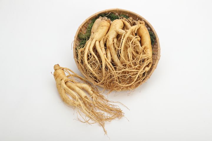 [세종=뉴시스] 사진은 인삼 '고원' (사진=농촌진흥청 제공) 2026.01.21. photo@newsis.com *재판매 및 DB 금지