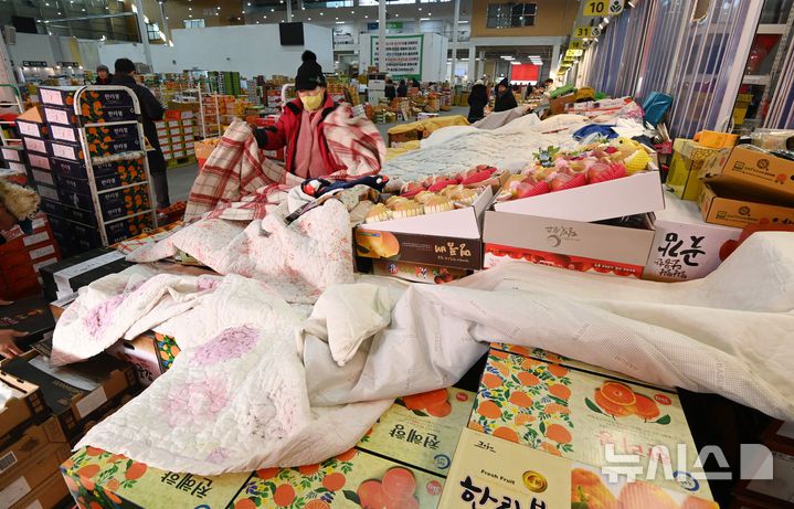 [수원=뉴시스] 김종택 기자 = 전국적으로 매서운 한파가 이어지고 있는 21일 경기 수원시 권선구 수원농수산물도매시장 과일동에 동파 방지를 위해 보온 담요가 씌워져 있다. 2026.01.21. jtk@newsis.com
