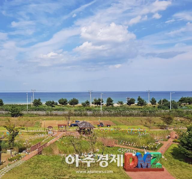 DMZ 평화바람개비 정원