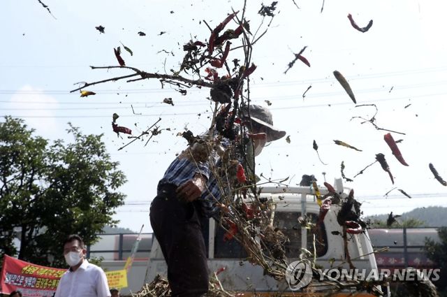 집중호우로 피해를 본 충북 영동·옥천, 충남 금산, 전북 무주지역 주민들이 19일 오후 충남 공주 금강홍수통제소 앞에서 집회를 열고 침수로 썩은 고추와 복숭아 등을 뿌리며 피해 보상을 촉구하고 있다