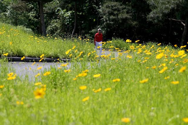 녹색과 노란색 물결 속을 걷는 선수