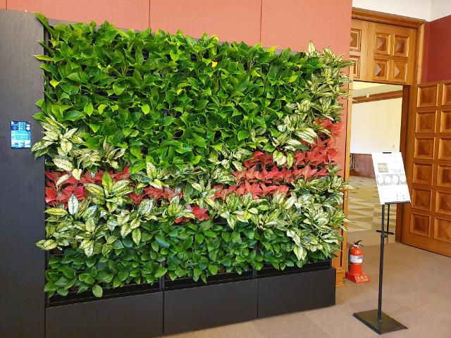 기자회견장에 설치된 공기정화 제품