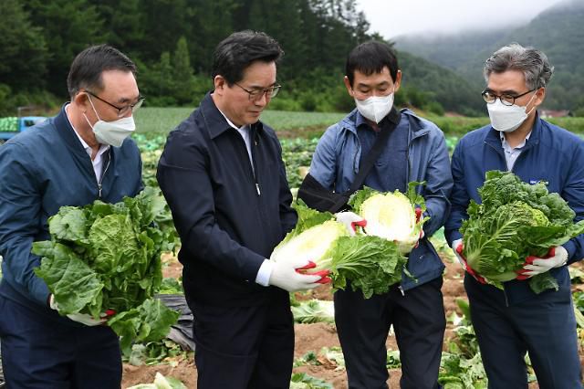 평창서 배추 수급 실태 점검하는 정황근 농식품부 장관      (평창=연합뉴스) 최근 물가가 고공행진을 이어가는 가운데 정황근 농림축산식품부 장관이 13일 강원 평창군 진부면 호명리 준고랭지 배추 재배단지를 방문해 수급관리 실태를 점검하고 있다. 2022.7.13 [평창군 제공.재판매 및 DB 금지]     jlee@yna.co.kr/2022-07-13 16:40:58/ <저작권자 ⓒ 1980-2022 ㈜연합뉴스. 무단 전재 재배포 금지.>