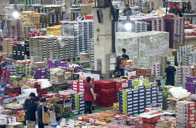 도매시장 추석 과일상자 가득     (부산=연합뉴스) 조정호 기자 = 추석을 앞둔 4일 부산 해운대구 반여농산물도매시장에서 시민이 과일을 살펴보고 있다. 2022.9.4     ccho@yna.co.kr/2022-09-04 13:23:43/ <저작권자 ⓒ 1980-2022 ㈜연합뉴스. 무단 전재 재배포 금지.>