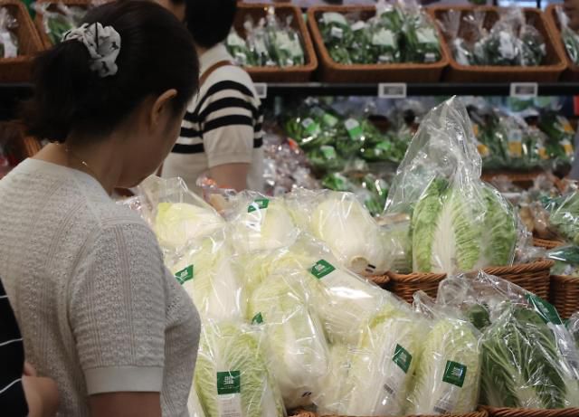 서울 시내 대형마트에 채소 판매대 모습.