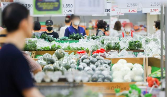 올라버린 물가, 망설여지는 구매     (서울=연합뉴스) 김도훈 기자 = 최근 풍수해 및 고온 등의 여파로 채소 및 과일 가격이 오른 가운데 27일 서울 시내의 한 대형 마트에서 시민들이 진열된 물품들을 살피고 있다. 2023.8.27     superdoo82@yna.co.kr/2023-08-27 15:00:01/ <저작권자 ⓒ 1980-2023 ㈜연합뉴스. 무단 전재 재배포 금지.>[<저작권자 ⓒ 1980-2023 ㈜연합뉴스. 무단 전재 재배포 금지.>]