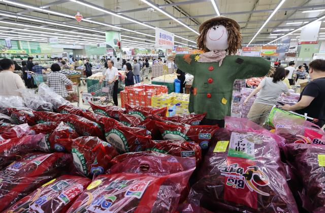 추석을 앞두고 서울 서초구 농협 하나로마트 양재점을 찾은 시민들이 장을 보고 있다. [사진=연합뉴스]