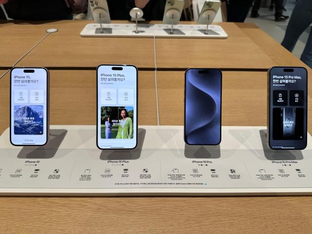 (왼쪽부터) 아이폰15 기본, 아이폰15 플러스, 아이폰15 프로, 아이폰15 프로맥스 [사진=강일용 기자]