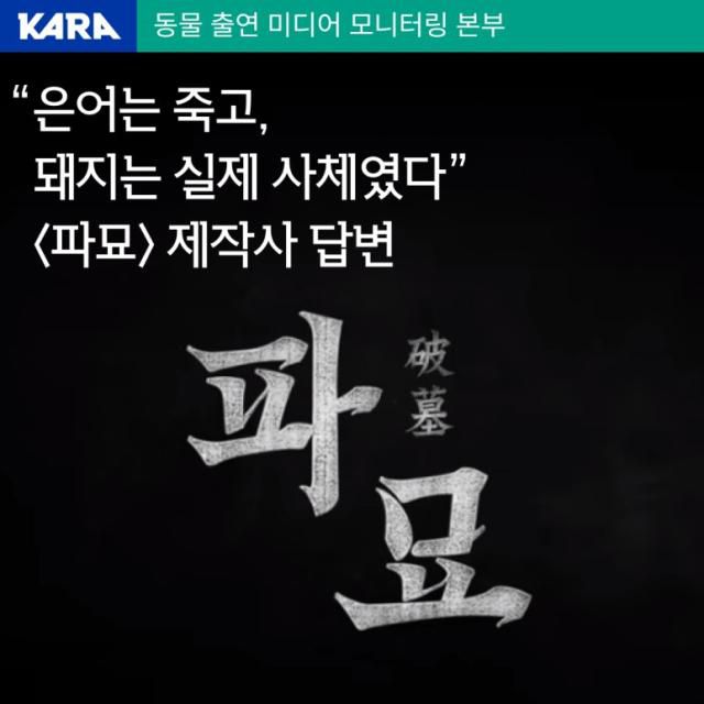 카라가 19일 영화 '파묘' 동물 촬영에 관해 제작사 쇼박스로부터 회신 공문을 받았다는 내용의 입장문을 발표했다. [사진=동물권행동 카라 공식 블로그]