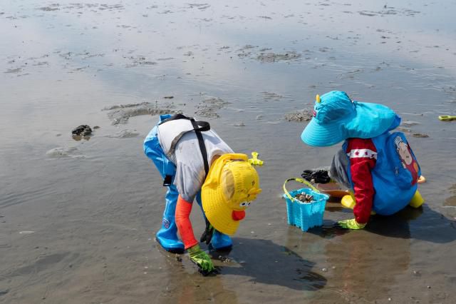 전북 고창 구시포해변알록달록 귀여운 장화를 신고 조캐캐기에 열중하는 꼬마들 [사진=한국관광공사/정윤주 촬영]