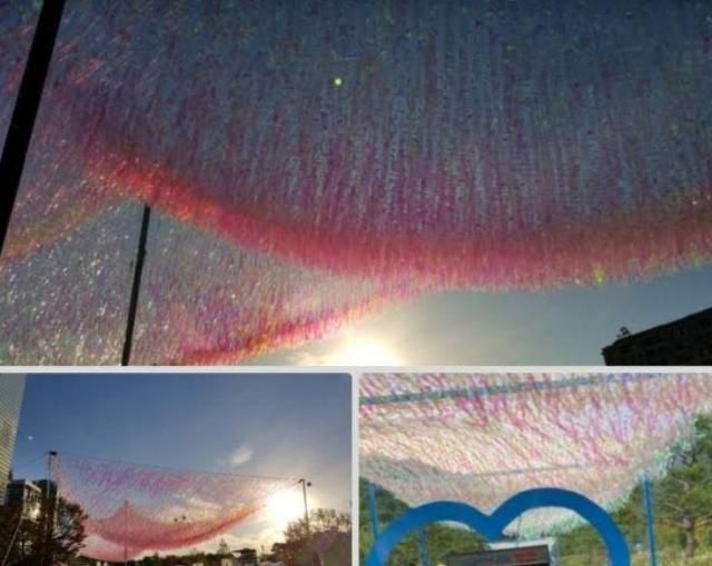 오로라 터프 모습 [사진=]