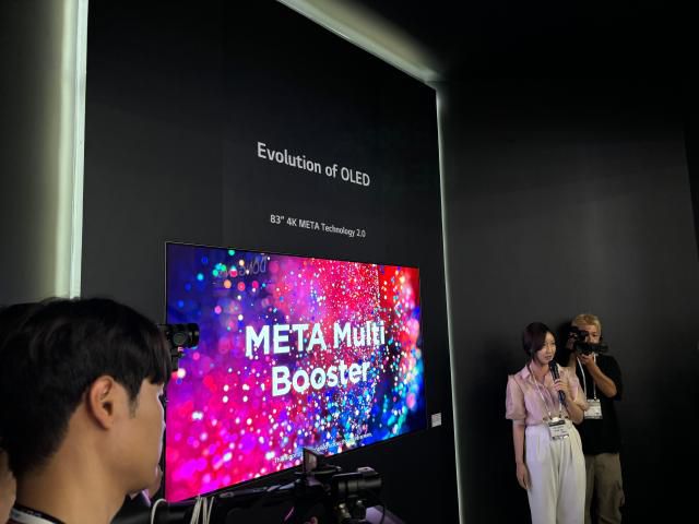 14일 서울 삼성동 코엑스에서 열린 'K-디스플레이 2024' 전시회, LG디스플레이 부스에 전시된